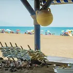 - Alicate Beachfront - 6