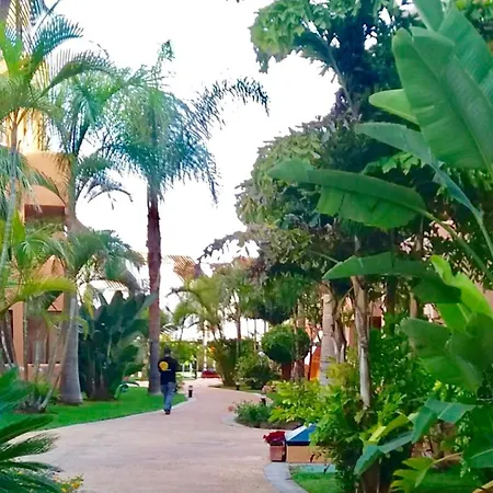 - Alicate Beachfront - 6 Marbella
