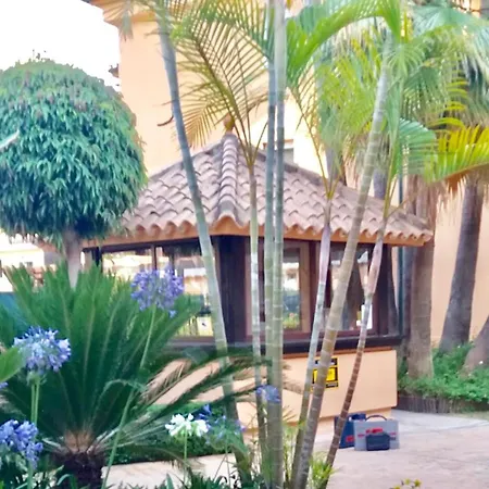 Διαμέρισμα - Alicate Beachfront - 6