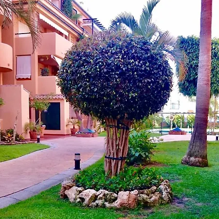 - Alicate Beachfront - 6 Marbella