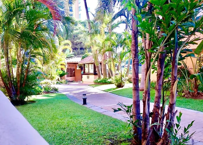 - Alicate Beachfront - 6 * Marbella