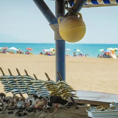 - Alicate Beachfront - 6