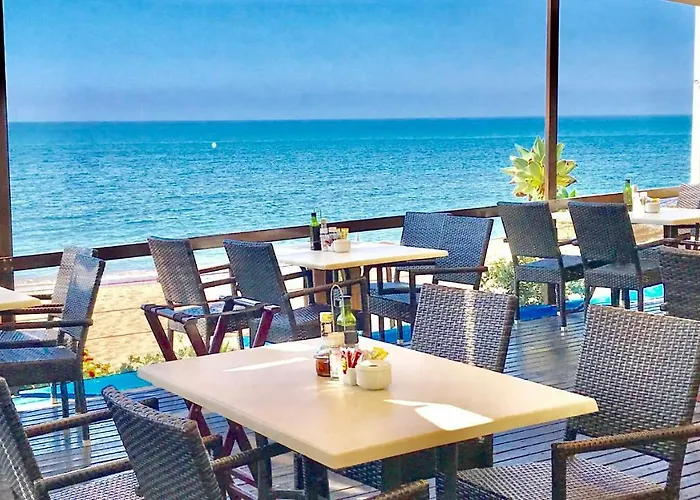 - Alicate Beachfront - 6