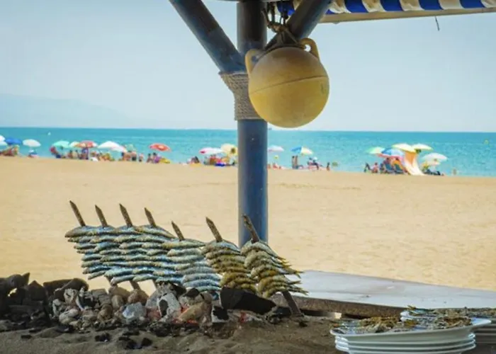 - Alicate Beachfront - 6