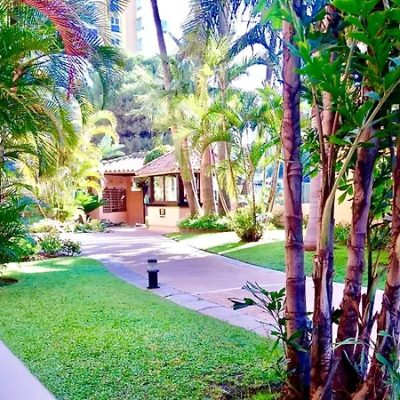 - Alicate Beachfront - 6 * Marbella