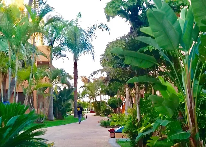 - Alicate Beachfront - 6 Marbella